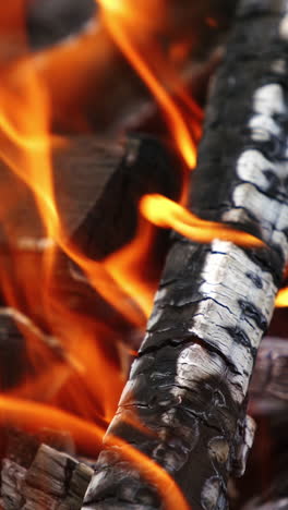 coals are burning in fire flame. orange fire transforms the wood into charcoal in the grill. background of burning logs. close-up. vertical video
