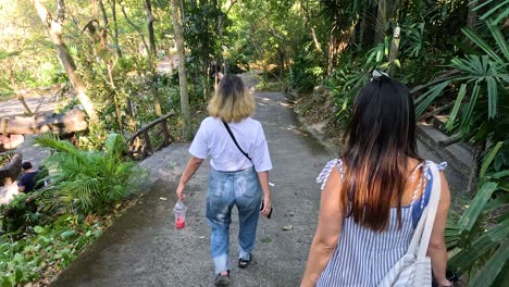 two women hiking through a lush tropical forest