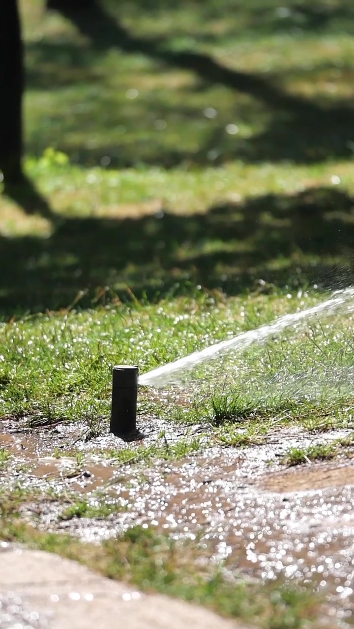 Irrigatore automatico che innaffia l'erba verde in una giornata di sole.