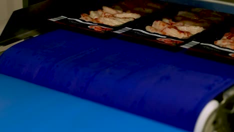 la cinta transportadora azul con camarones envasados avanza rápidamente los contenedores listos para la exportación