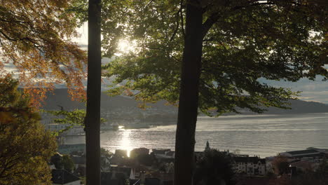 beautiful view over bergen and sandviken from fjellveien in autumn, with colored foliage being backlit by the sun