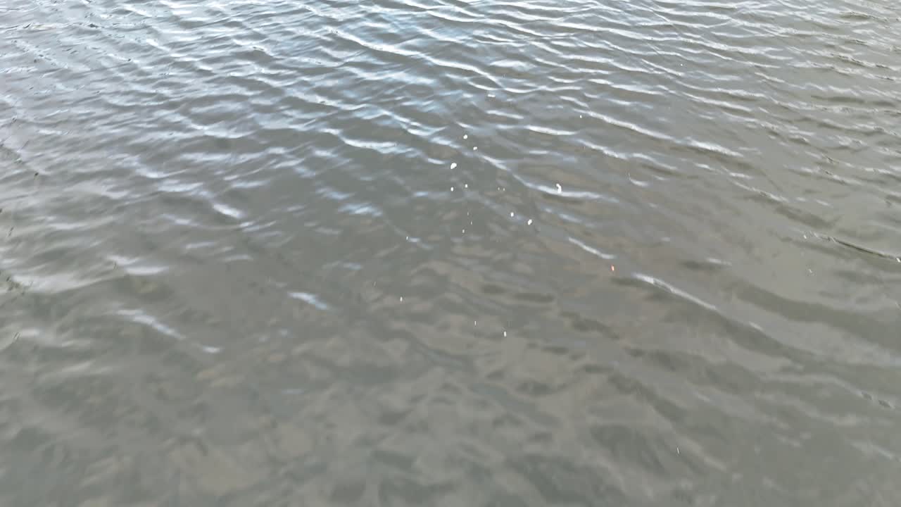 superficie de agua con suaves ondulaciones y objetos flotantes