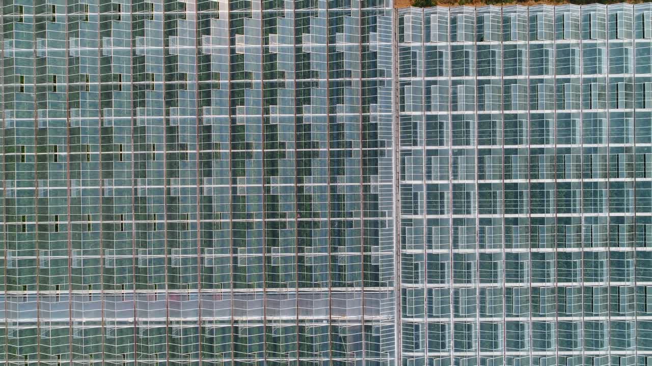 지붕 유리로  ⁇ 인 초록색 농장 4k