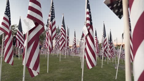 Celebración-En-Cámara-Lenta-Nueve-Once-Con-Campo-De-Banderas-Para-El-Día-De-Los-Veteranos