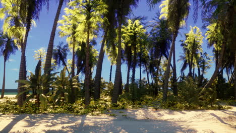 playa tropical con palmeras