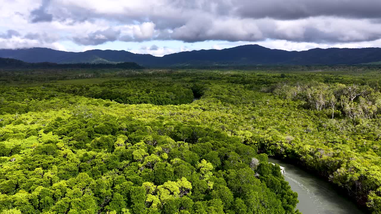 Drone glides above lush rainforest canopy, following winding river under dramatic cloudy sky, wide perspective