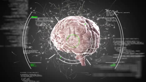 animación del procesamiento de datos digitales sobre el alcance y el cerebro humano