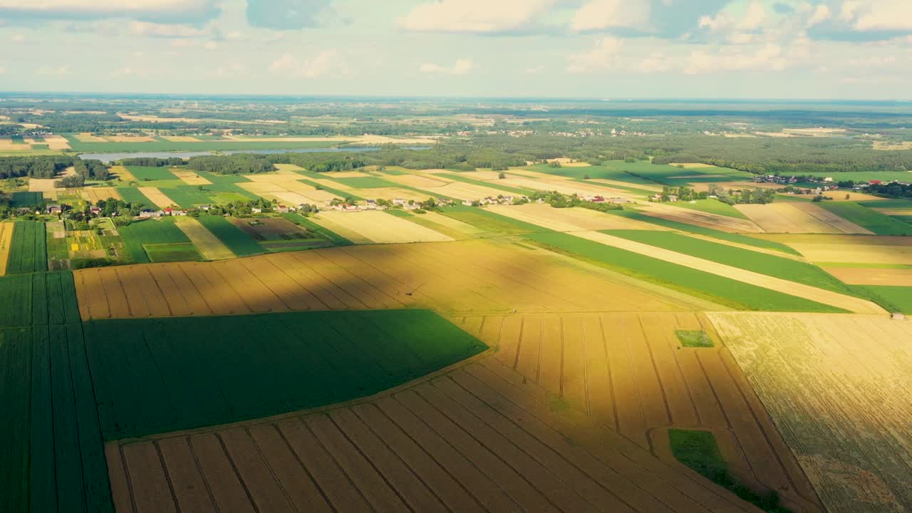 абстрактные геометрические фигуры сельскохозяйственных участков различных культур в желтых и зеленых цветах. воздушный вид снимается с дрона непосредственно над полем