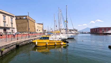 yachts docked in a sunny naples harbor