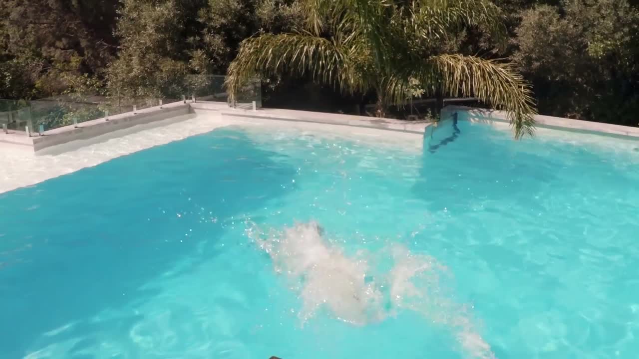 Attraktiv kvinde dykker ned i swimmingpoolen
