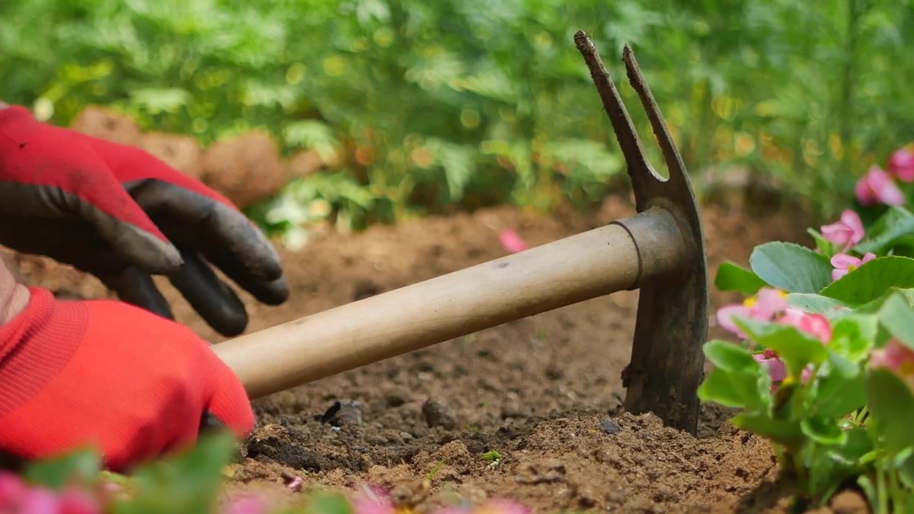 Gartner bruger en spidshakke til at forberede jord til plantning