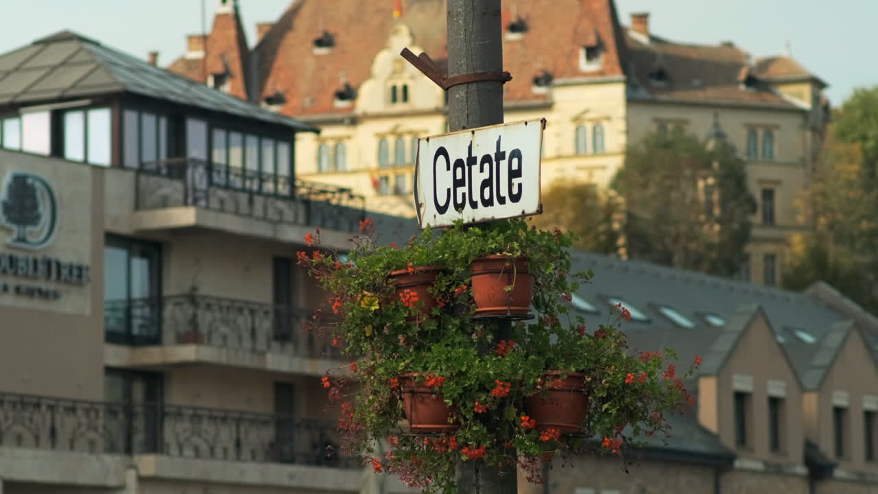 Sign on a post with flowers showing the direction to a fortress in Romania