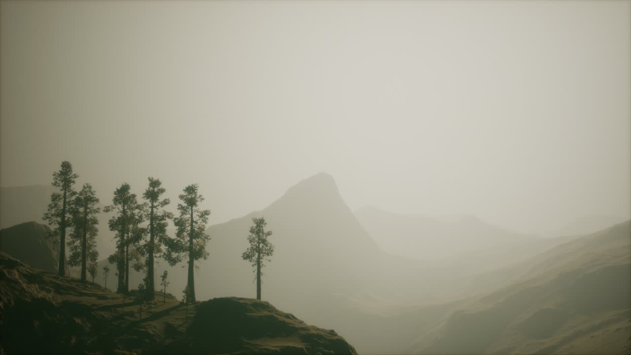 산 기 ?? 에 있는 안개 숲