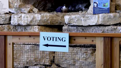 voting sign with an arrow pointing to polling location