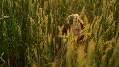 girl hiding in a wheat field at sunset