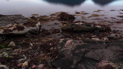 Un-Timelapse-Del-Fondo-Rocoso-Cubierto-De-Algas-Expuestas-Por-La-Marea-Baja