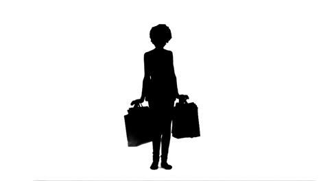 Silhouette-of-a-woman-holding-shopping-bags