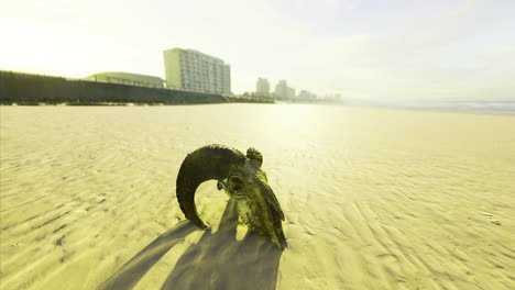 tortuga cruza la playa de arena al amanecer cerca de la ciudad costera