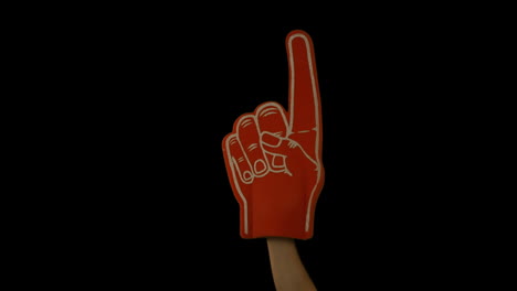 supporter holds a foam hand up in air