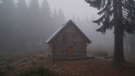 misty forest cabin