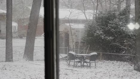 tormenta de nieve muskegon en el patio trasero local
