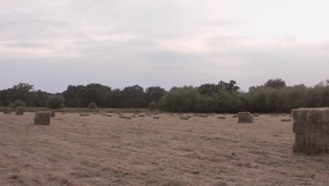 hay bales in field wide panning shot