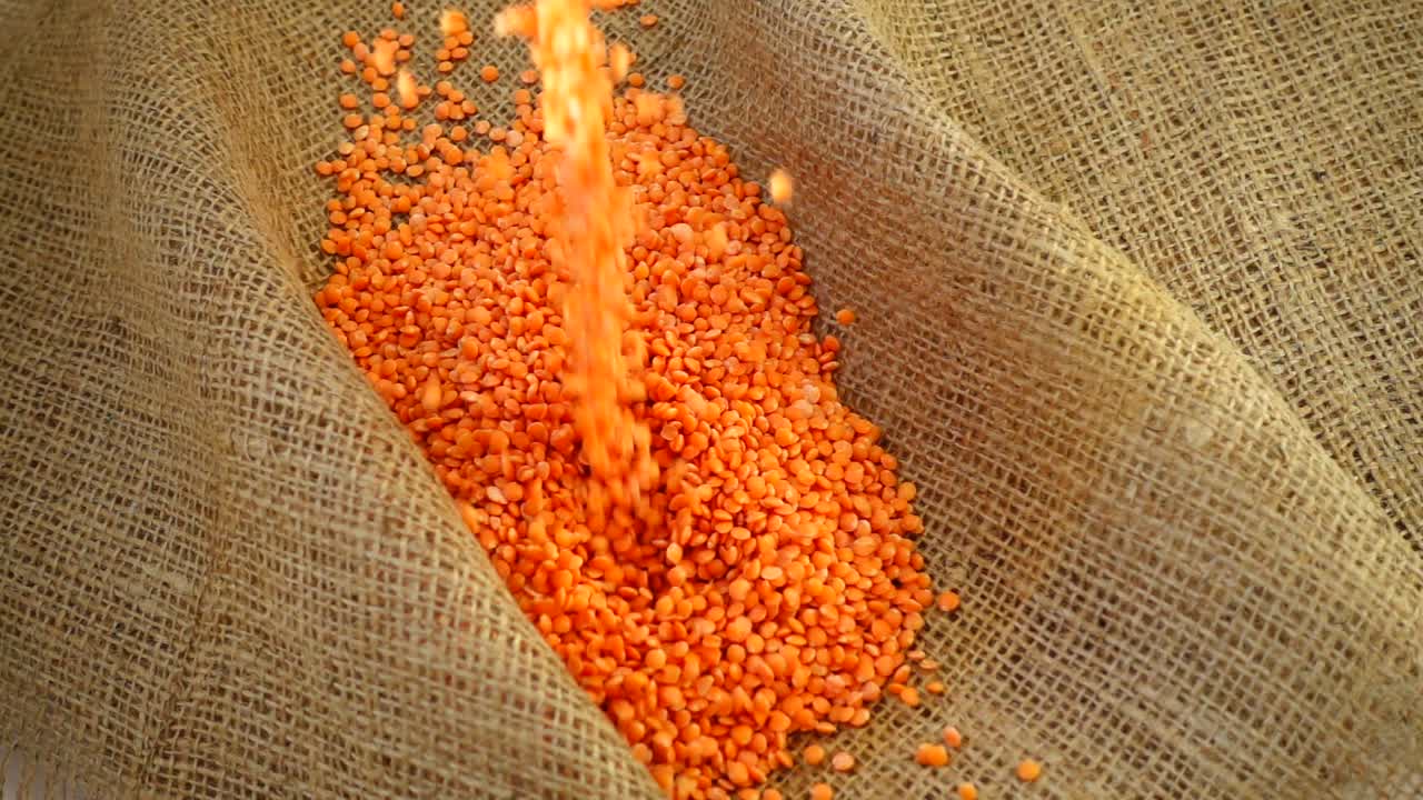 Le lenticchie rosse vengono versate su tela di juta. Slow Motion.
