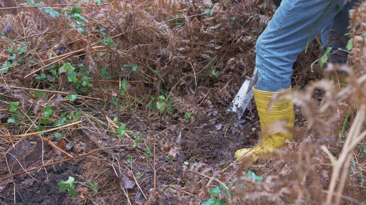 un hombre maduro cavando un hoyo en el bosque para plantar árboles