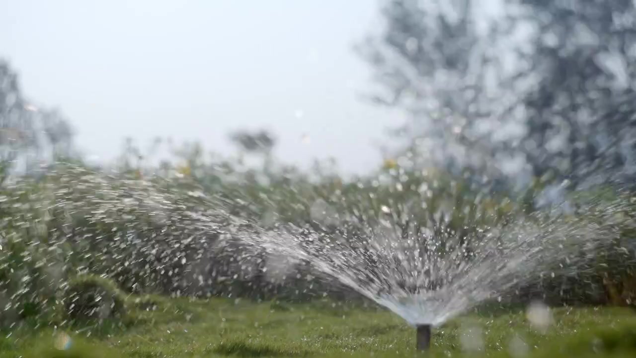 緑豊かな庭で植物に水をやる噴水の、スローモーション撮影。