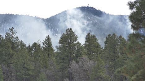 Humo-Blanco-Saliendo-De-Un-Bosque-De-Montaña