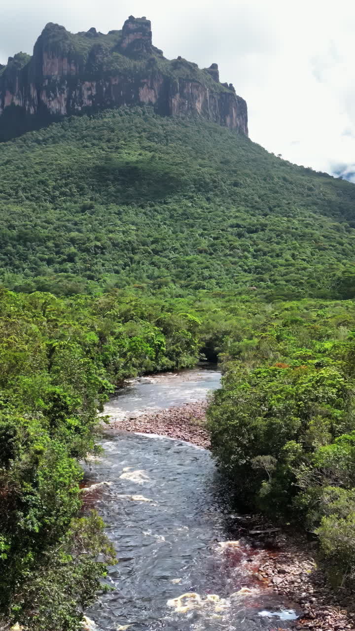 Pemandangan udara drone sungai tropis yang mengalir melalui hutan hujan lebat yang dikelilingi pegunungan tepui yang dramatis di Taman Nasional Canaima, Venezuela. Vertikal