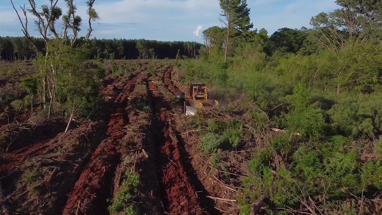 tomada aérea de aviones no tripulados de máquinas de preparación de suelo que convierten la tierra forestal en tierra agrícola de posadas en misiones argentina