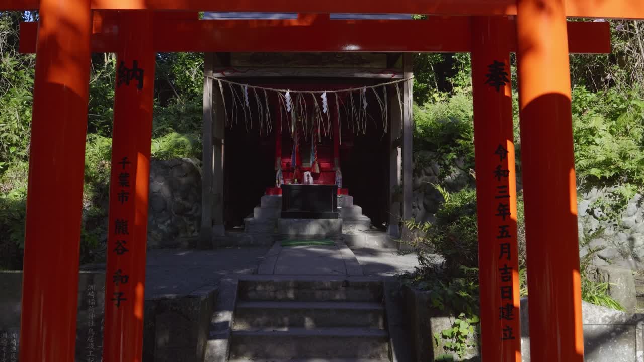 Lento dolly in avanti attraverso file di porte torii rosse in un santuario giapponese