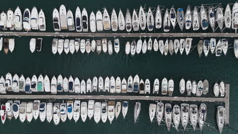 rows of docked boats fill gridlike marina with tranquil water and coastal backdrop