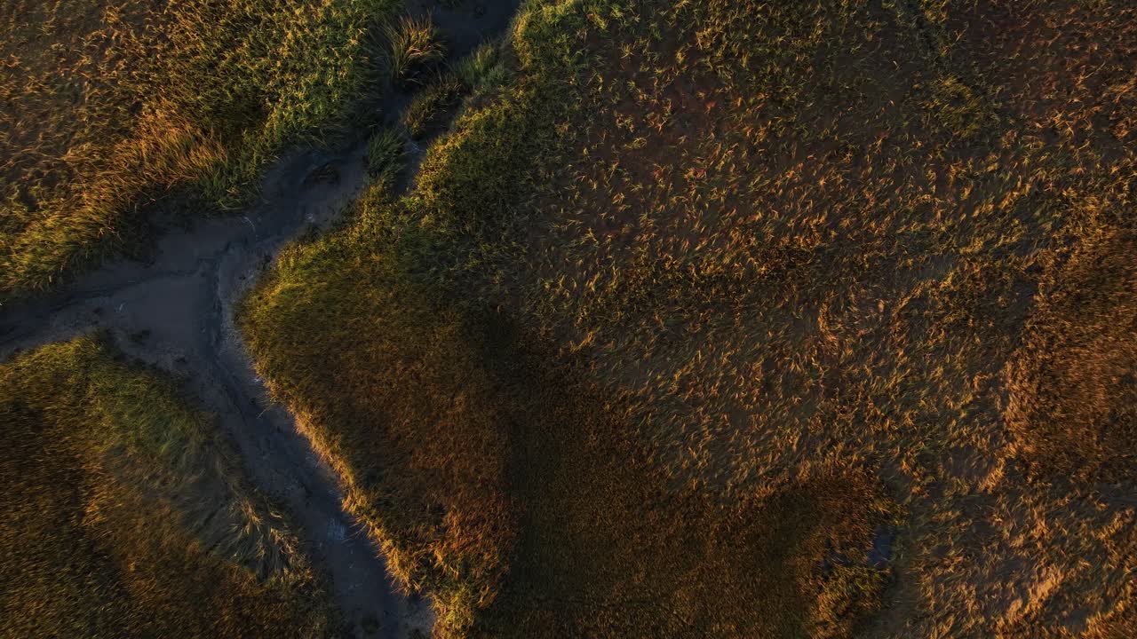 Fugleperspektiv over saltmarsk ved solopgang i Cape Cod, Barnstable, Massachusetts - Droneoptagelse