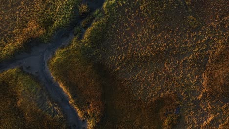 bird's eye view over salt marsh at sunrise in cape cod, barnstable, massachusetts - drone shot
