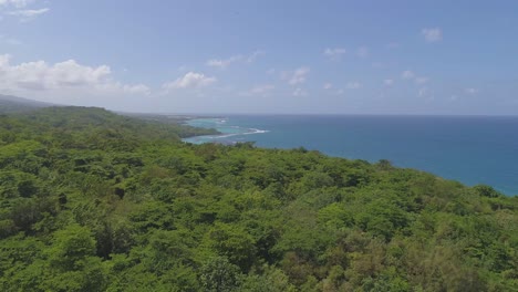 vista aérea de la exuberante selva tropical costera
