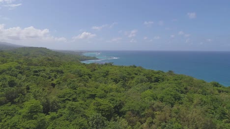 aerial view of lush coastal rainforest