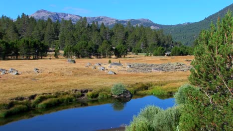 A-small-body-of-water-surrounded-by-dry-brush-and-trees-on-the-Sierra-Nevada-Mountains