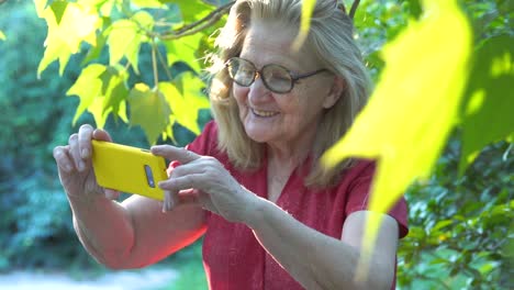 Großmutter-Lächelt-Bei-Videoanruf-Mit-Familie-Im-Garten