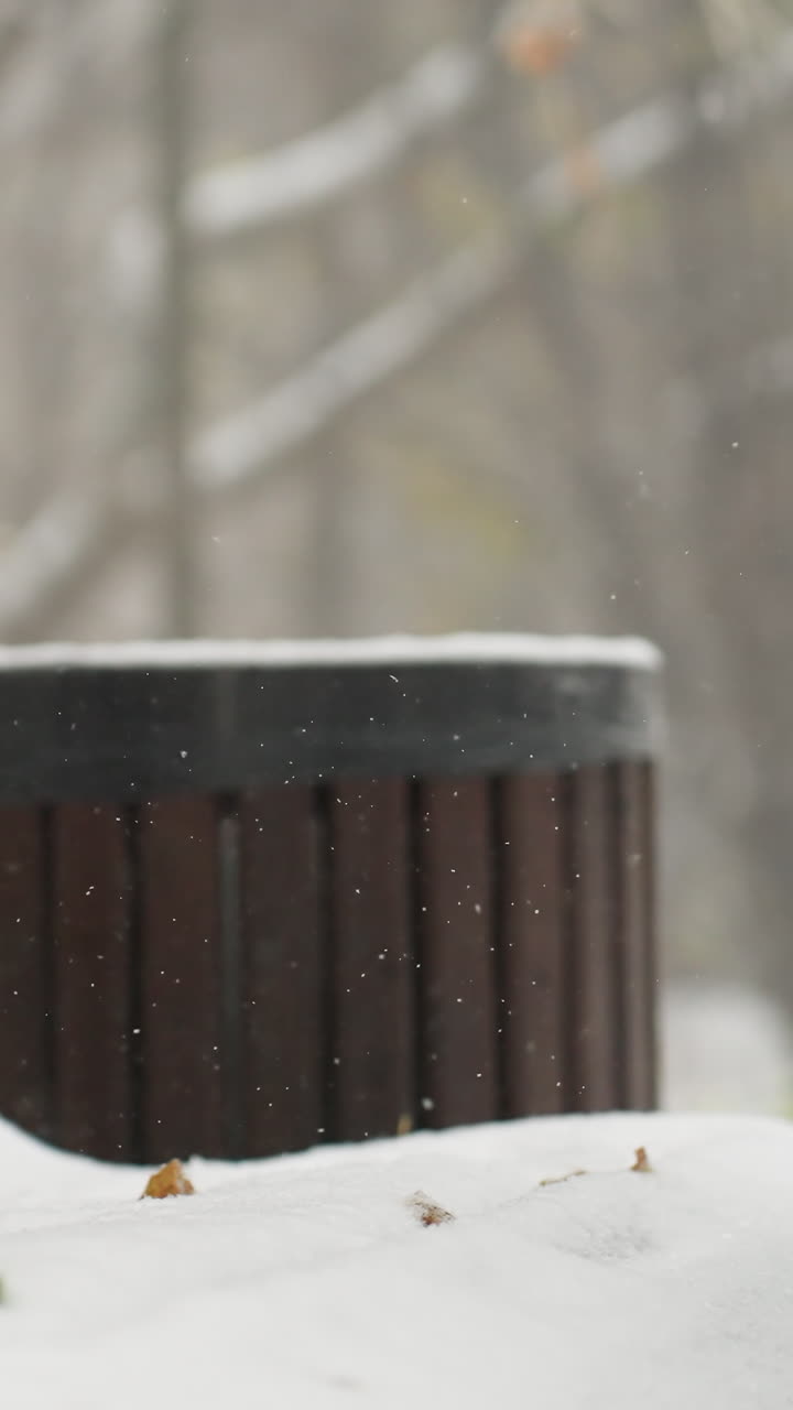 눈 인 공원에서 눈으로 인 벤치에 놓기 위해 기타 을 제거하는 여자의 부분적인 시각, 얼어붙은 나무로 둘러싸인 먼 배경에서 걸어가는 흐릿한 인물