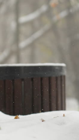 vista parcial de la dama quitando el paquete de guitarra para colocarlo en un banco cubierto de nieve en un parque nevado, con figuras borrosas caminando en el fondo lejano rodeadas de árboles helados