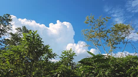 timelapse of clouds over tropical forest