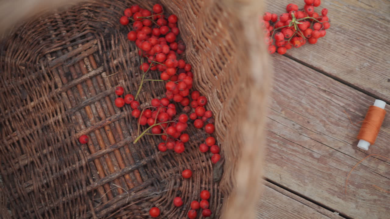 Wicker basket scattered red berries over rustic wood planks with spool and scissors forager scene transitions to craftsperson arranging clusters for decoration warm natural light, textured closeup