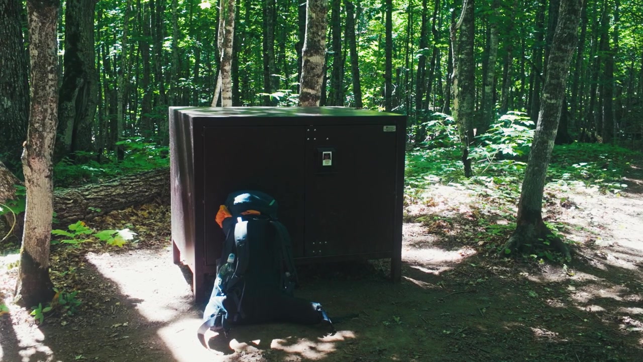 A bear box at a campsite with a backpack leaning against it surrounded by the green trees of the woods. Filmed on Isle Royale. A preventative measure to keep food away from wildlife.