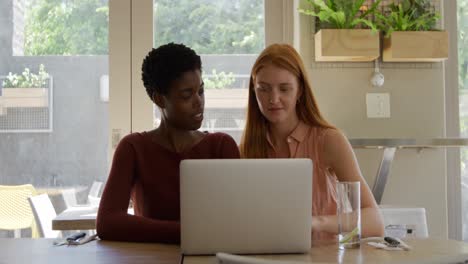 young adult female friends hanging out in a cafe