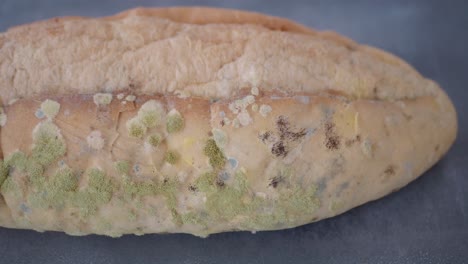 pan con moho