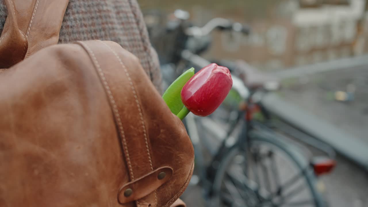 en una mochila de tulipanes en la calle de ámsterdam con bicicletas de fondo