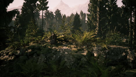 lush forest landscape with rocky terrain and distant mountains in denmark