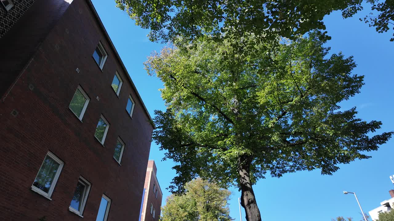 A point of view shot walking along a Berlin street lined with trees and buildings under a clear blue sky, showcasing urban life. tilt down